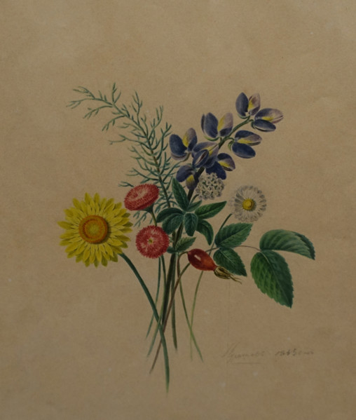 Meadow flowers