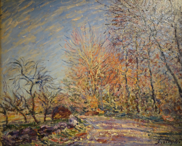 The Edge of the forest of Fontainebleau