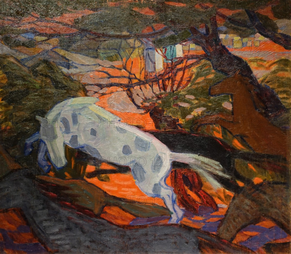 Horses