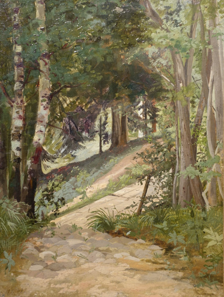 In the forest