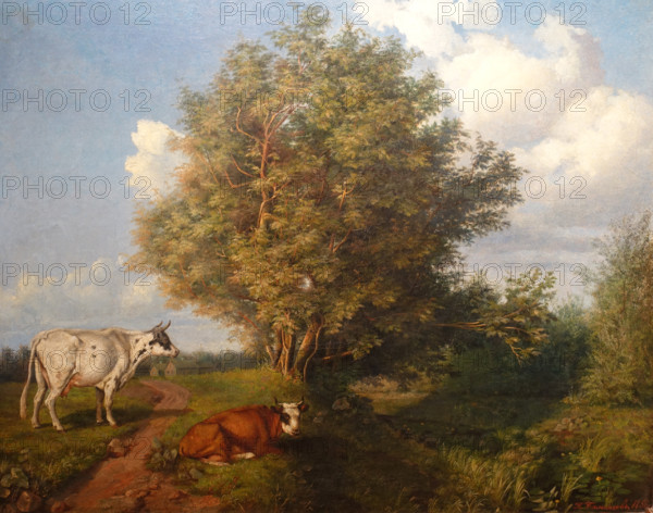 Summer landscape with animals