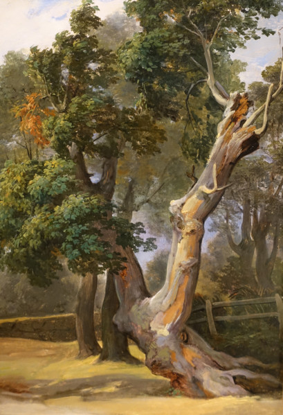 Trees