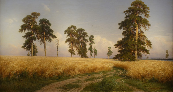 Rye