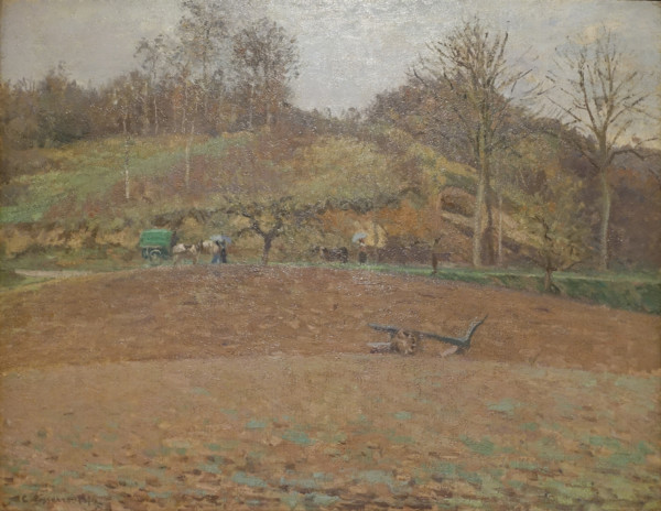 Ploughed Land