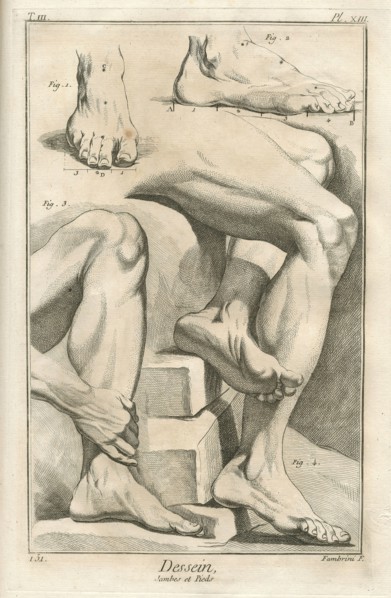 Encyclopv©die di Denis Diderot e Jean Baptiste Le Rond d'Alambert (1751-1772). TIII-PL XIII Dessein. Gambe e piedi