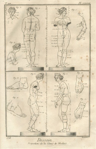Encyclopv©die di Denis Diderot e Jean Baptiste Le Rond d'Alambert (1751-1772). TIII-PL XXXVIII Dessein. Proporzioni della Venere dei Medici