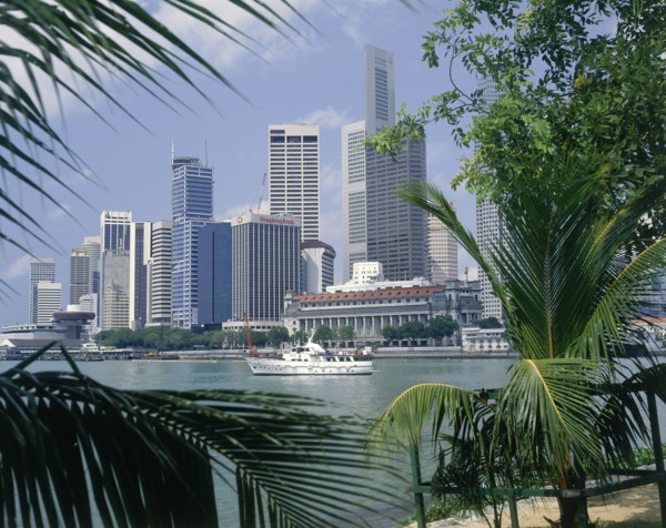 SINGAPORE, Singapore City, City skyscrapers and waterfront seen through palm leaves wth a white