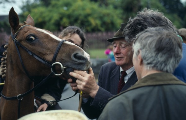 IRELAND , County Kerry  , Killorglin , Puck Fair.  Man checking horses teeth or age.