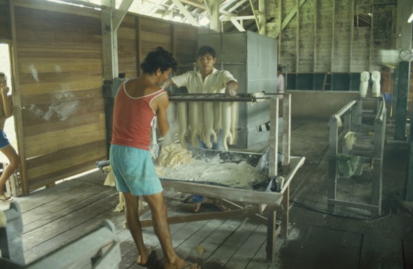 BRAZIL, Near Santarém, Betterra, Local rubber factory with men making rubber gloves