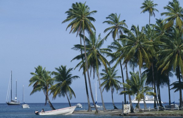 WEST INDIES, St Lucia, Marigot Bay, "Cruise ship, yachts and motor boat in bay with beach and palms