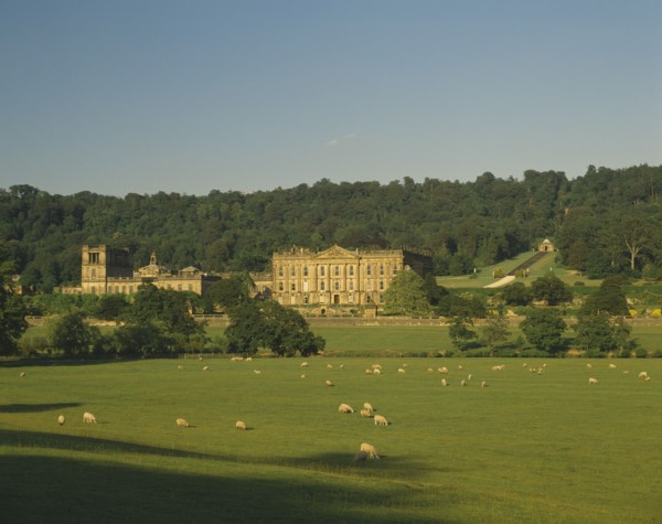 ENGLAND, Derbyshire, Chatsworth House, View towards exterior facade over grazing sheep in pasture