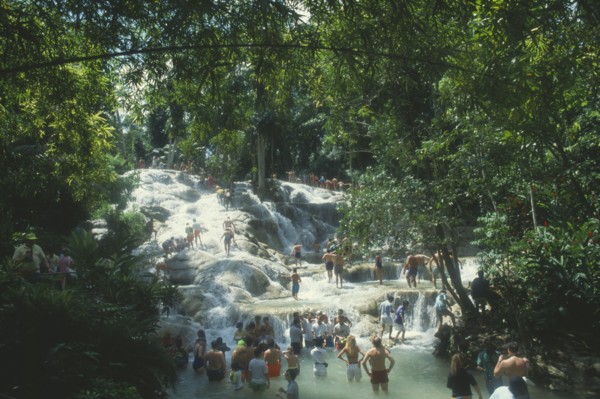 WEST INDIES, Jamaica, Ocho Rios, Dunns River Falls through trees with tourists walking in the pools