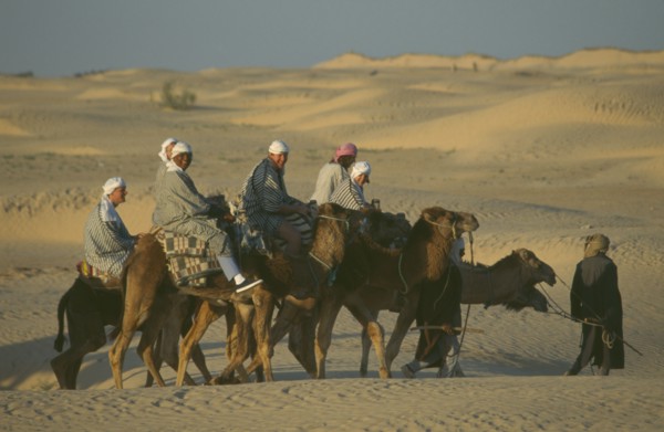 TUNISIA, Sahara Desert, Men riding Camels