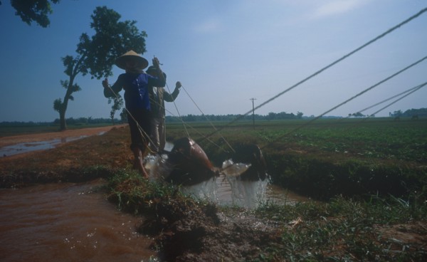 VIETNAM, General, Irrigating paddy fields along road to Ha Bac.
