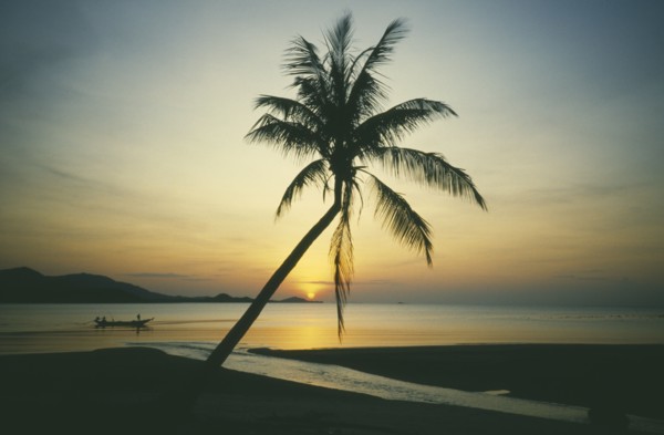 THAILAND, Surat Thani, Ko Samui, Big Buddha beach at sunset with fishing boat going past single