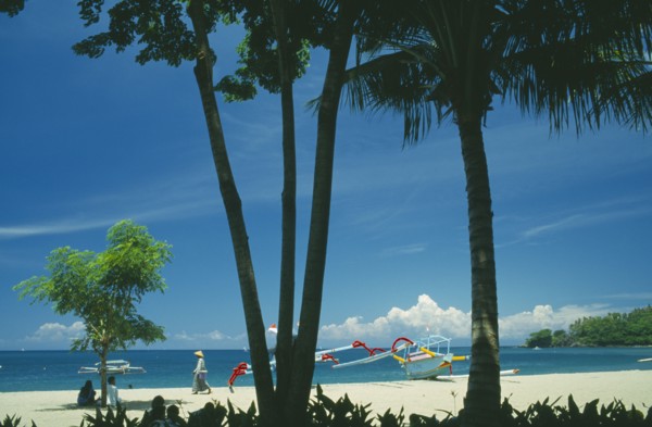 INDONESIA, Lombok, Senggigi, The beach seen through coconut palm trees with outrigger fishing