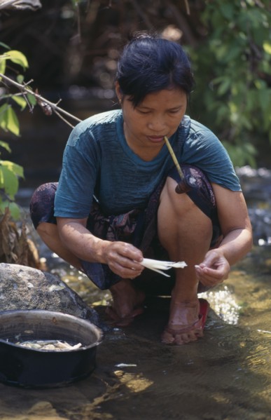 THAILAND, North, Mae Sariang, Karen refugee woman washing food while smoking a pipe