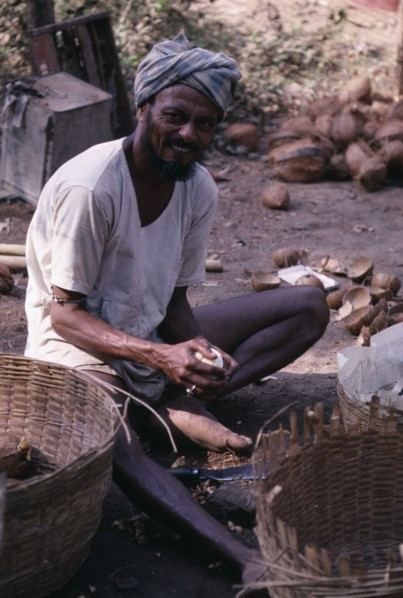 INDIA, Goa, Colva, Copra or coconut worker sitting with baskets and holding shelled coconut