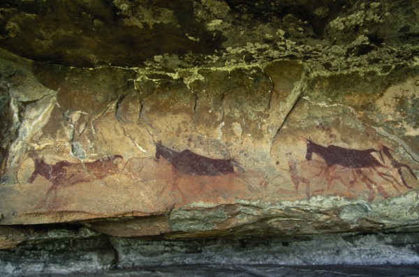 SOUTH AFRICA, KwaZulu Natal Kamberg, Kamberg, Bushmen San Rock art paintings of animals at