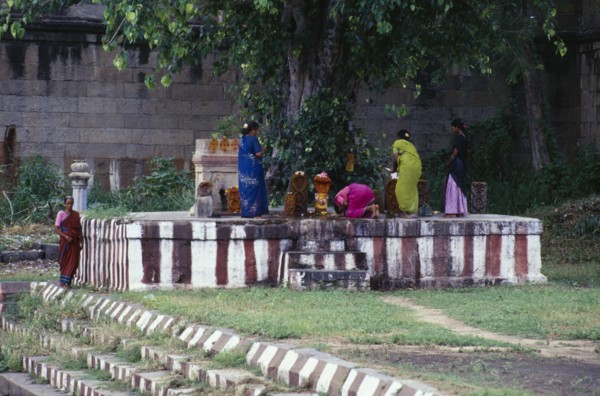INDIA, Tamil Nadu, Kanchipuram, Devarajaswami temple dedicated to Vishnu and built by the