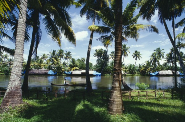 INDIA, Kerala, Backwaters , Old rice boats moored against far bank of canal with passing man in