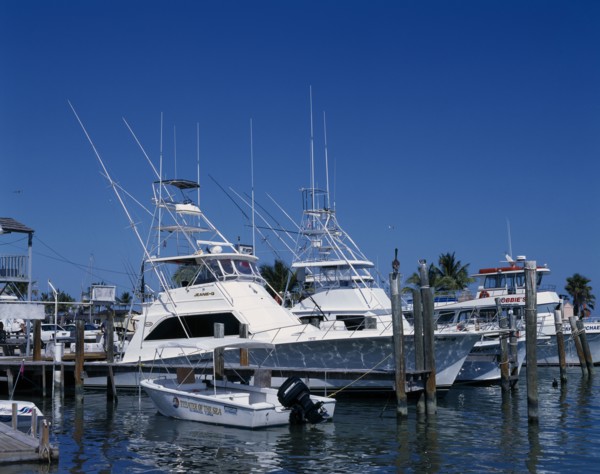 USA, Florida , The Keys, Fishing boats in harbour