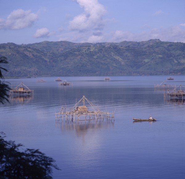 INDONESIA, Lombok, Lembar, Bamboo fishing platforms in the sea with a man in a canoe rowing towards