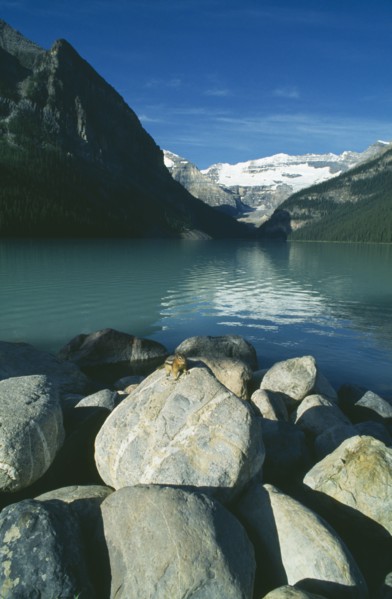 CANADA, Alberta, Banff National Park, Lake Louise with chipmunk on rock in foreground.