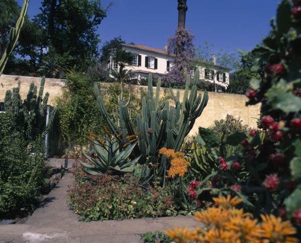 PORTUGAL, Madeira, Funchal, Botanic Garden