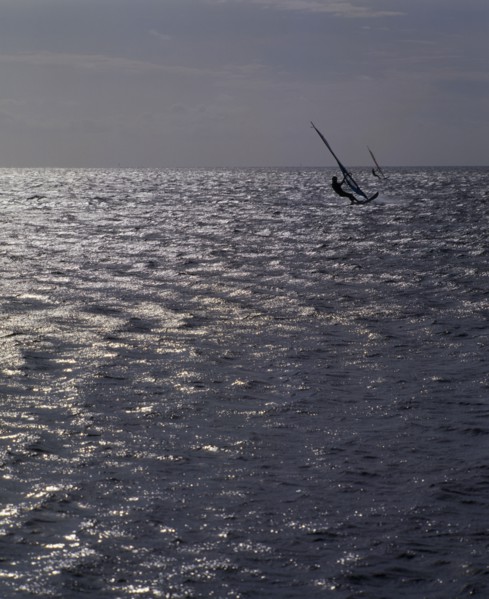 USA , North Carolina , Pimlico Sound , Windsurfing