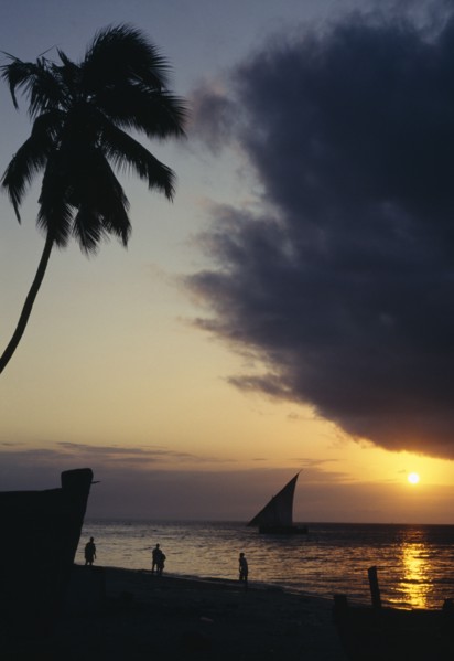 ZANZIBAR, Beach Scene, View over beach with overhanging palm and people with silhouetted dhow at