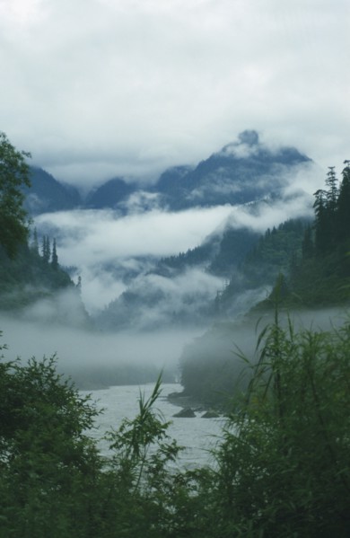 TIBET, Yiang Tsangpo River, Low clouds in the tree lined valley with mountains above