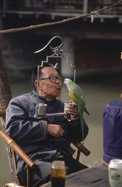CHINA, Sichuan, Chengdu, Man sitting at cafe table holding a parrot