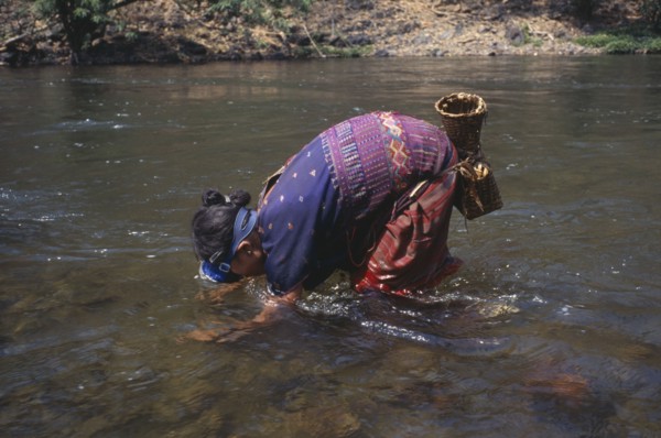 THAILAND, North, Mae Sariang, Mae Lui village. Karen refugee woman gathering shellfish by hand