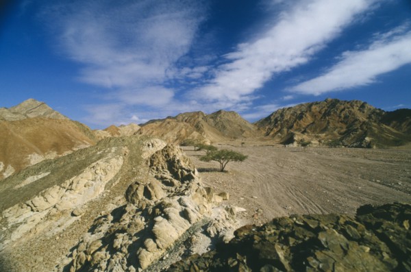 EGYPT,  , Sinai, Semi desert valley and mountains