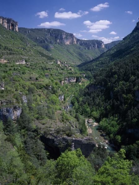 FRANCE, Languedoc Roussillon, Lozere, Sainte Enimie.  View along the Gorges du Tarn towards village