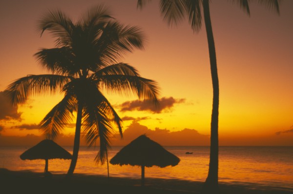 WEST INDIES, Tobago, Turtle Beach, Sunset at sea through coconut palm trees with thatched shelters