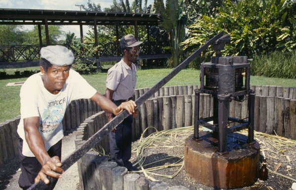 WEST INDIES, Jamaica, Industry, Old sugar cane crusher