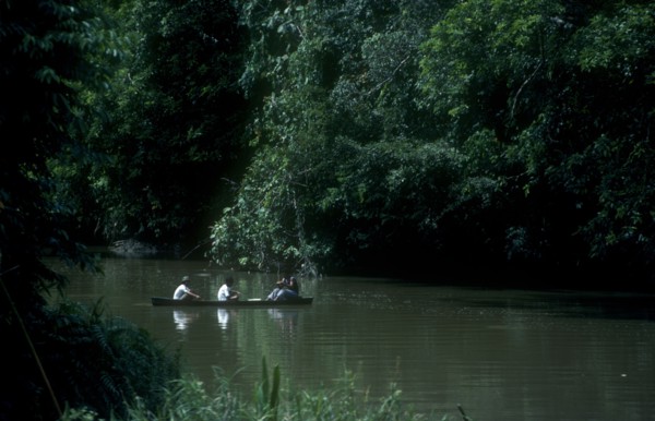 BRUNEI, Industry, Three men in a canoe fishing on a river in the jungle interior