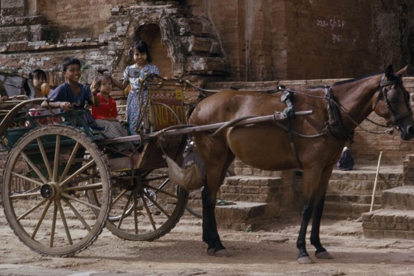 MYANMAR, Pagan, Local transport horsedrawn cart with children sitting in the back