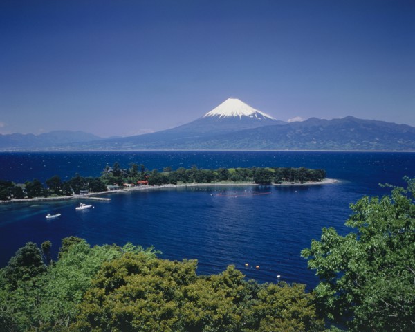 JAPAN, Honshu, Suruga Bay, Mount Fuji with snow cap above the tree lined deep blue water of the bay