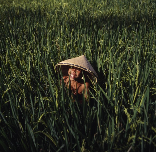 INDONESIA, Lombok, Kediri, Smiing boy wearing a conical hat in a ricefield near Makaram