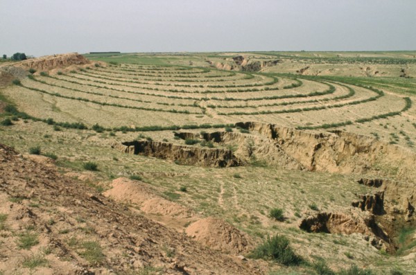 CHINA, Agriculture, Contoured planting showing erosion