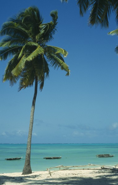 TANZANIA, Zanzibar Island, Jambiani Beach.  Empty beach with boats moored offshore and palm trees