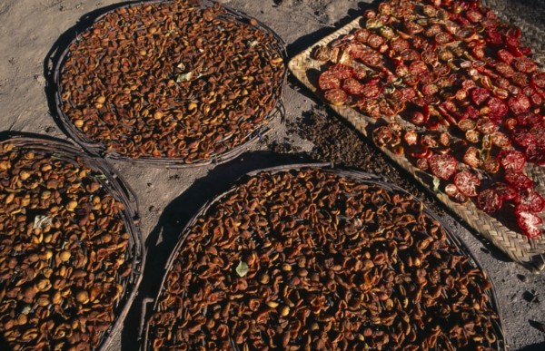 PAKISTAN, Hunza, Karimabad, Sun dried tomatoes and apricots.