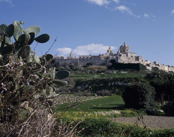 MALTA, Mdina, View past prickly pears over fields to the fortified hilltown and cathedral