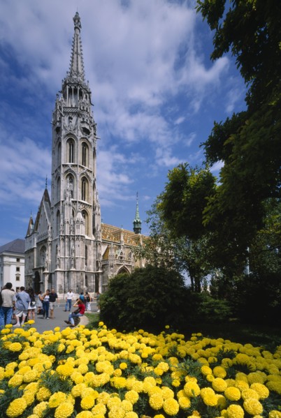 HUNGARY, Budapest , Matthias Church with flower bed full of yellow dahlias in the foreground.