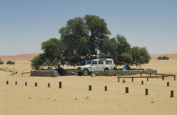 NAMIBIA, Namib Desert, Sesriem, Tourists camping under tree in the desert