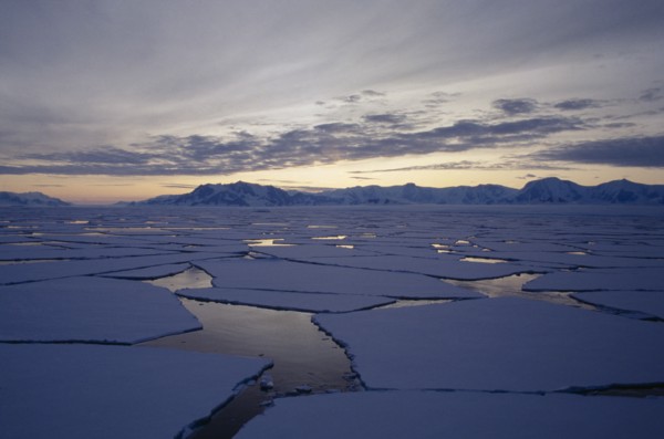 ANTARCTICA , Alexander Island, Broken ice flows at sunset