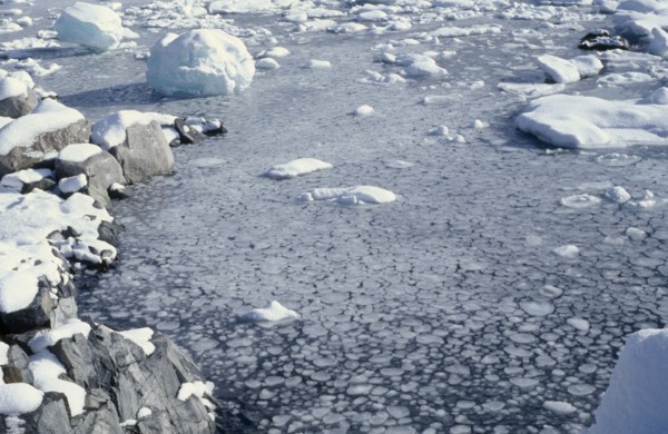 ANTARCTICA, Landscape, Pancake Ice covering the surface of the sea with snow covered land and